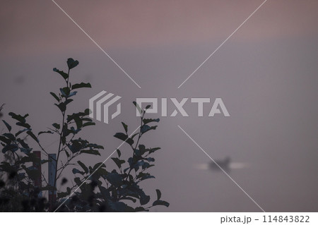 Serene lakeside scene with misty ambiance, duck silhouette, and tranquil setting Serene lakeside scene with misty ambiance, duck silhouette, and tranquil setting 114843822