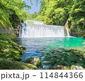 新緑と青い滝 114844366