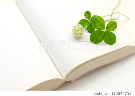 四つ葉のクローバーと白い本  Four-leaf clover 114844755