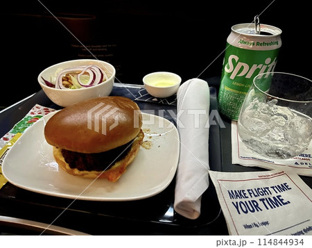 デルタ航空で羽田空港からアメリカへ 114844934