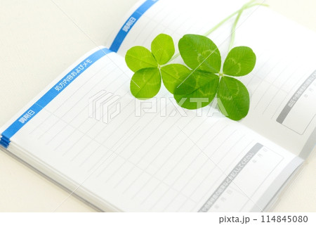 四つ葉のクローバーとお薬手帳  Four-leaf clover 114845080