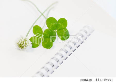 四つ葉のクローバーと白いノート Four-leaf clover 四つ葉のクローバーと白いノート Four-leaf clover 114846551
