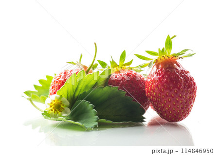 red ripe strawberry spring on a white background red ripe strawberry spring on a white background 114846950