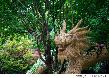 Dragon Sculpture in a Lush Garden: A Symbol of Chinese Culture and Artistry Dragon Sculpture in a Lush Garden: A Symbol of Chinese Culture and Artistry 114847471