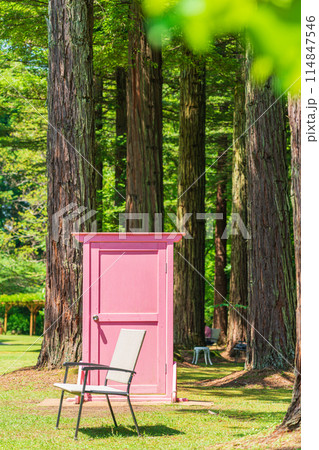 レッドヒル ヒーサーの森、緑美しいセンペルセコイア〈三重県津市〉 レッドヒル ヒーサーの森、緑美しいセンペルセコイア〈三重県津市〉 114847546