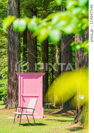レッドヒル ヒーサーの森、緑美しいセンペルセコイア〈三重県津市〉 114847549
