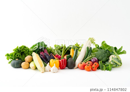 色々な野菜 集合 色々な野菜 集合 114847802