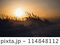 冬の北海道　オホーツクサロマの景色 114848112