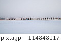 冬の北海道　雪原 114848117
