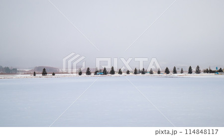冬の北海道　雪原 114848117