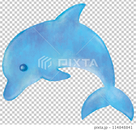illustration of cute dolphin illustration of cute dolphin 114848841
