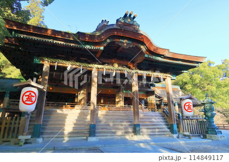 【香川県】初春の朝日が差す金刀比羅宮　こんぴらさん（御本宮拝殿・本殿） 114849117