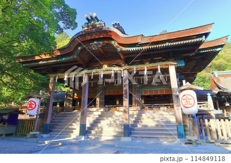 【香川県】初春の朝日が差す金刀比羅宮　こんぴらさん（御本宮拝殿・本殿） 114849118