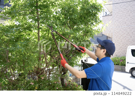 伸びた庭木を鋏で切る作業員 伸びた庭木を鋏で切る作業員 114849222