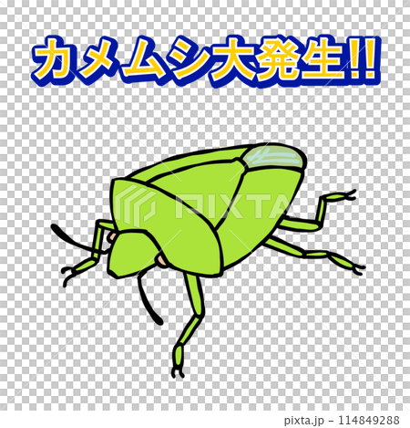 帶有綠色字母的臭蟲 114849288