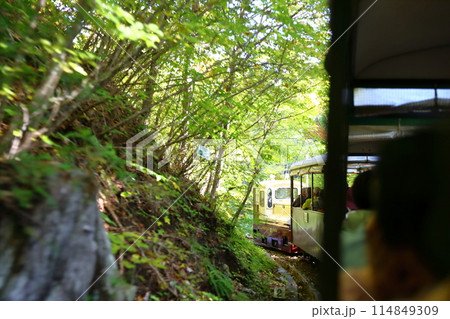赤沢森林鉄道 赤沢森林鉄道 114849309