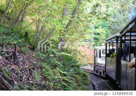 赤沢森林鉄道 赤沢森林鉄道 114849310