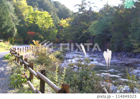 赤沢森林鉄道 114849323