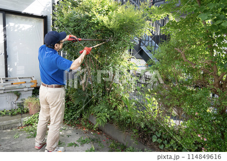 伸びた庭木をハサミで切る作業員 伸びた庭木をハサミで切る作業員 114849616