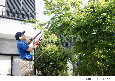 伸びた庭木をハサミで切る作業員 伸びた庭木をハサミで切る作業員 114849621
