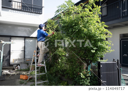 脚立にのって伸びた庭木をハサミで切る作業員 脚立にのって伸びた庭木をハサミで切る作業員 114849717