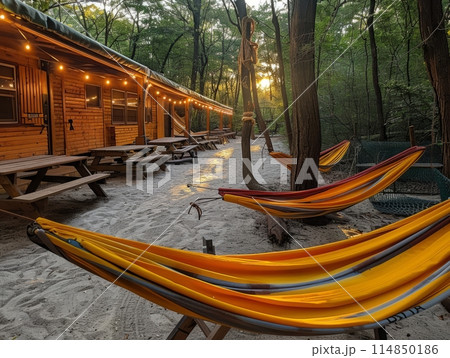 Photos of the campsite in nature wood with house 114850186