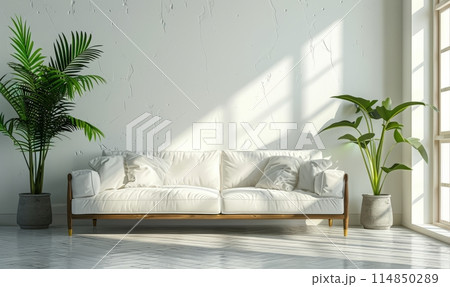 Bright and cozy modern living room interior have sofa and plant with white plaster wall 114850289