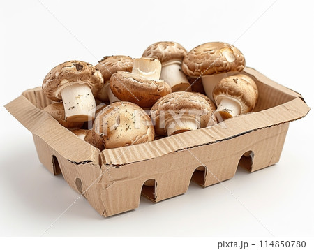 Mushrooms champignon in bowl on a table 114850780