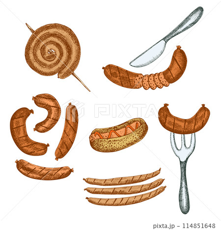 Oktoberfest food. Vector illustration of snack for beer barbeque roasted sausages, salami, hot dog. Pub menu Oktoberfest food. Vector illustration of snack for beer barbeque roasted sausages, salami, hot dog. Pub menu 114851648