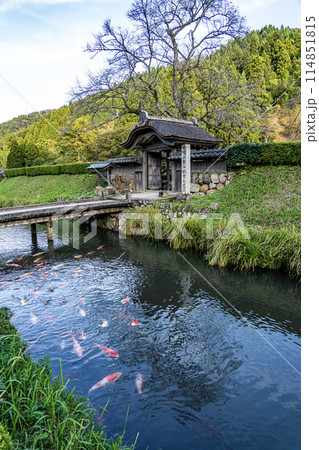 一条谷朝倉氏遺跡の景色 114851815