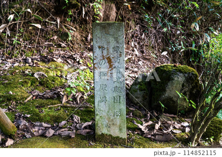 一条谷朝倉氏遺跡の景色 114852115