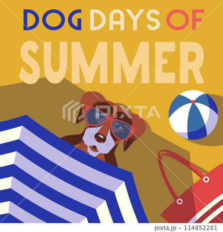 Dog days of summer relax on beach cute poster Dog days of summer relax on beach cute poster 114852281