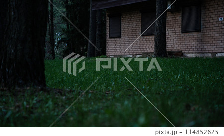 Brick building in the old forest park 114852625