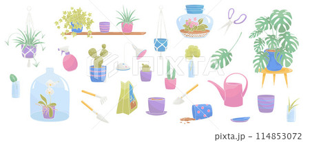 set elements about indoor greenery and home plants with plant pot, plants, watering can, grow lamp 114853072