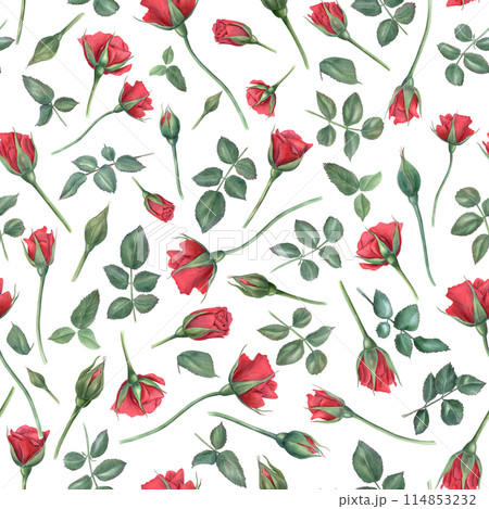 Ruby flowers and green leaves on stems. Red roses. Seamless pattern. Blooming summer garden flower with buds. Watercolor illustration. For wedding, memorial day, mother day design Ruby flowers and green leaves on stems. Red roses. Seamless pattern. Blooming summer garden flower with buds. Watercolor illustration. For wedding, memorial day, mother day design 114853232