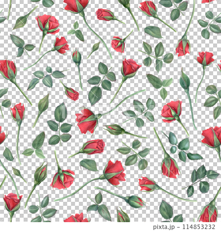 Ruby flowers and green leaves on stems. Red roses. Seamless pattern. Blooming summer garden flower with buds. Watercolor illustration. For wedding, memorial day, mother day design Ruby flowers and green leaves on stems. Red roses. Seamless pattern. Blooming summer garden flower with buds. Watercolor illustration. For wedding, memorial day, mother day design 114853232