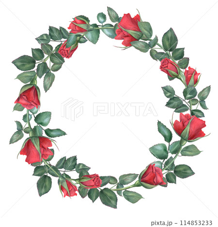 Roses. Wreath with rose branches in modern style. Dark red flower. Romantic deep ruby flowers. Watercolor illustration. Round frame with empty space for text. For wedding invitation 114853233