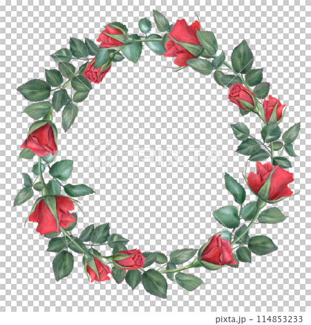 Roses. Wreath with rose branches in modern style. Dark red flower. Romantic deep ruby flowers. Watercolor illustration. Round frame with empty space for text. For wedding invitation 114853233