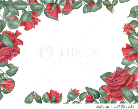 Vibrant red roses. Scarlet flowers with green leaves. Intertwining rose stems with bud. Blooming summer plant. Horizontal frame with empty space. Watercolor illustration. Memorial day, birthday design 114853235