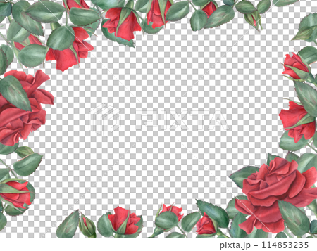 Vibrant red roses. Scarlet flowers with green leaves. Intertwining rose stems with bud. Blooming summer plant. Horizontal frame with empty space. Watercolor illustration. Memorial day, birthday design 114853235