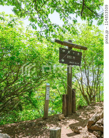 埼玉奥武蔵・伊豆ヶ岳の山頂標識 埼玉奥武蔵・伊豆ヶ岳の山頂標識 114853509