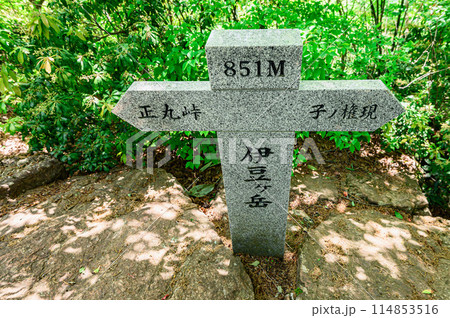 埼玉奥武蔵・伊豆ヶ岳の山頂標識 埼玉奥武蔵・伊豆ヶ岳の山頂標識 114853516