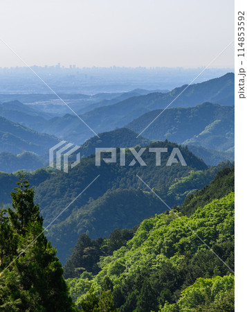 埼玉県・正丸峠から見る山並みと都心部の風景 114853592