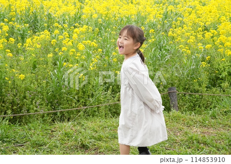 春の訪れを喜ぶ、花見する女の子 春の訪れを喜ぶ、花見する女の子 114853910