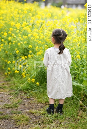 春の訪れを喜ぶ、花見する女の子 春の訪れを喜ぶ、花見する女の子 114853916