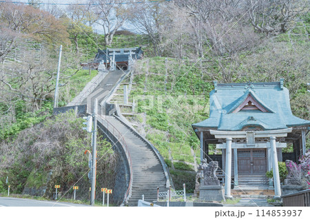 新潟　住吉神社と石井神社（出雲崎町） 114853937