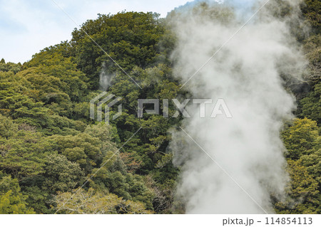 地下から湧き出る温泉の湯気と森の木 地下から湧き出る温泉の湯気と森の木 114854113