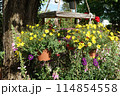 毎日きれいでかわいい花たちが迎えてくれる生活 114854558