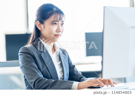 パソコンに入力する女性 パソコンに入力する女性 114854803