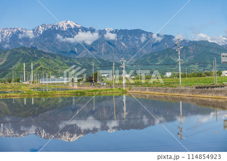 残雪の餓鬼岳と水田【大町市】 114854923